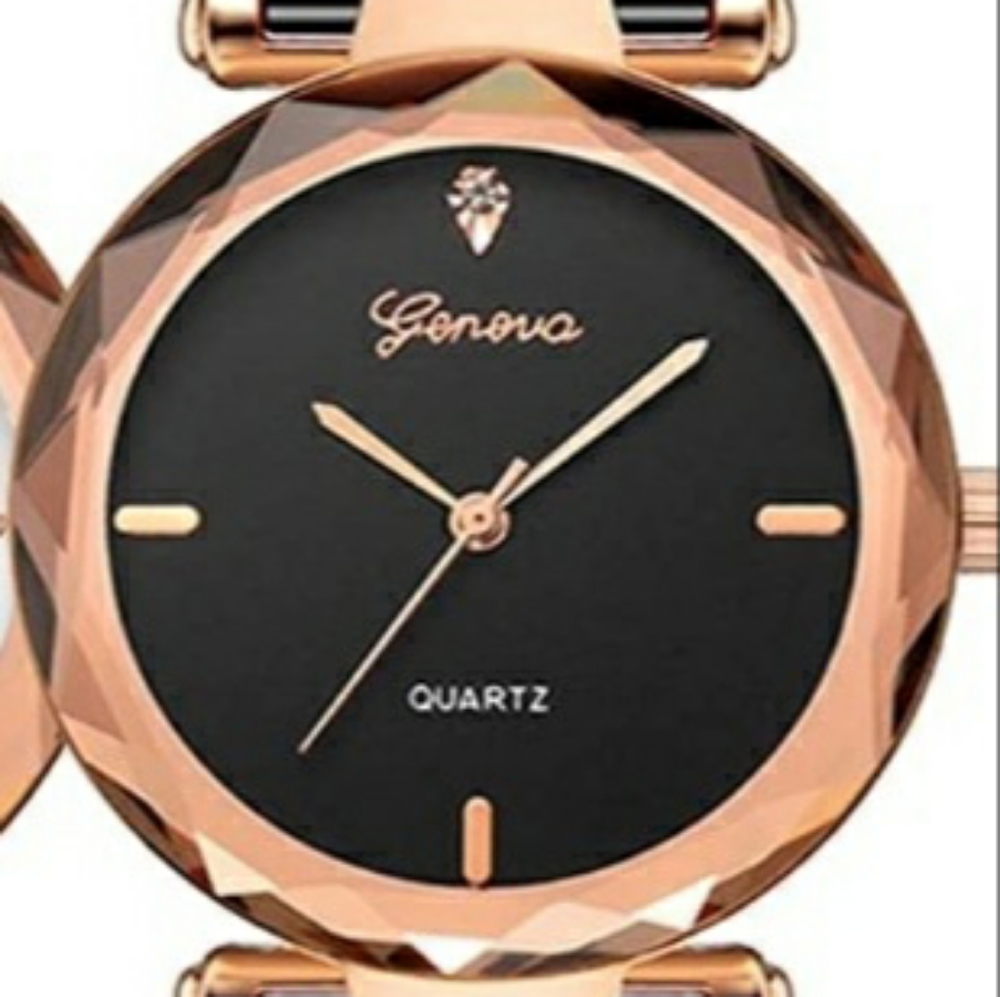 Golden Rose w/Mesh stainless steel watch band.